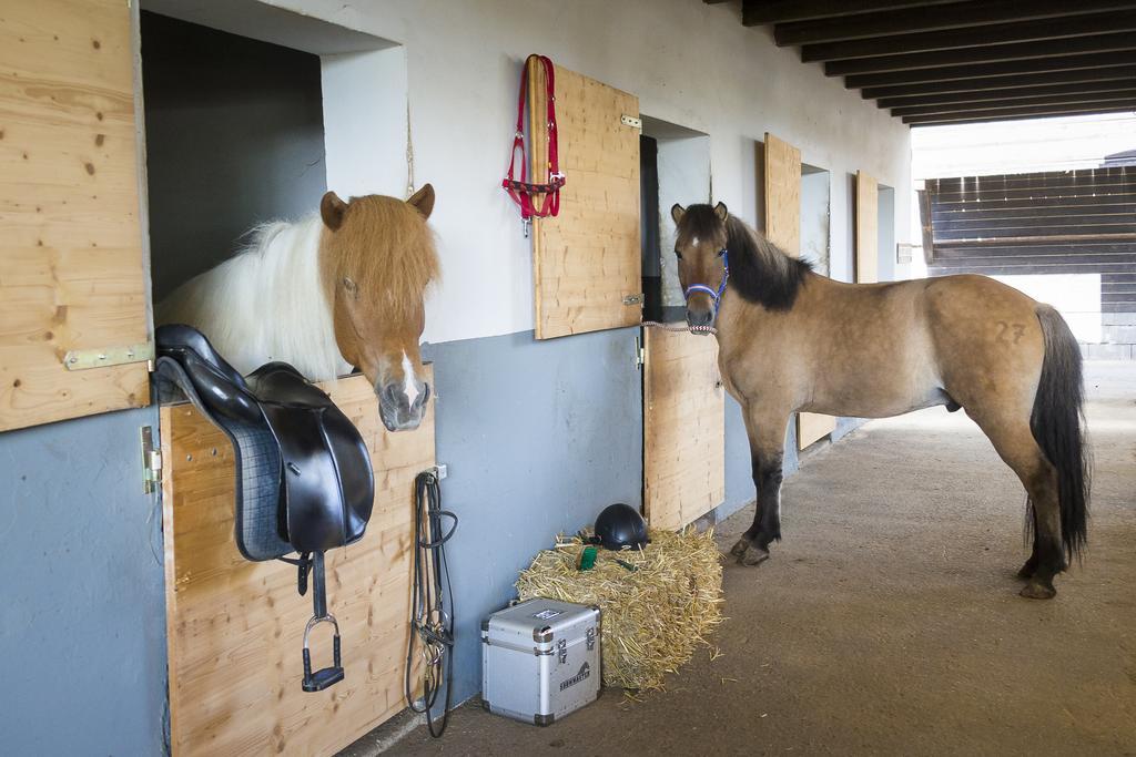 Hotel Reitzentrum Hausruckhof Ampflwang im Hausruckwald Extérieur photo