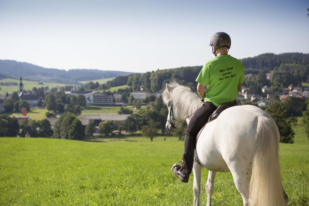 Hotel Reitzentrum Hausruckhof Ampflwang im Hausruckwald Extérieur photo
